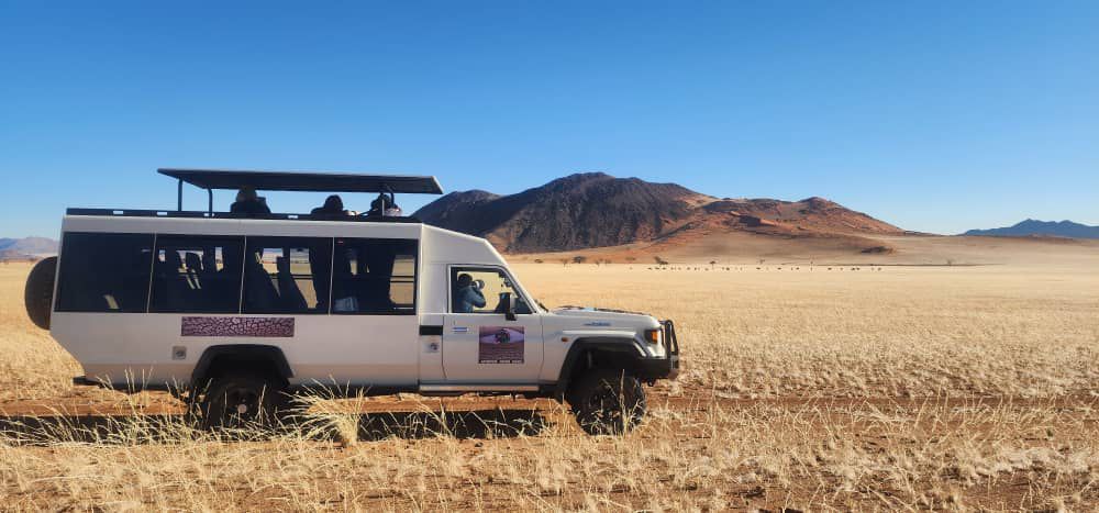 Safari experience